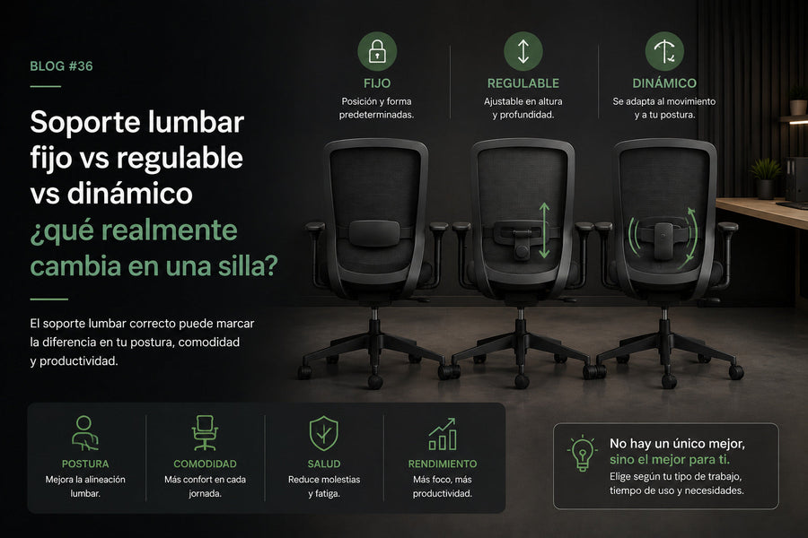 apoyo lumbar fijo, regulable o dinámico qué cambia y cuál elegir vicca