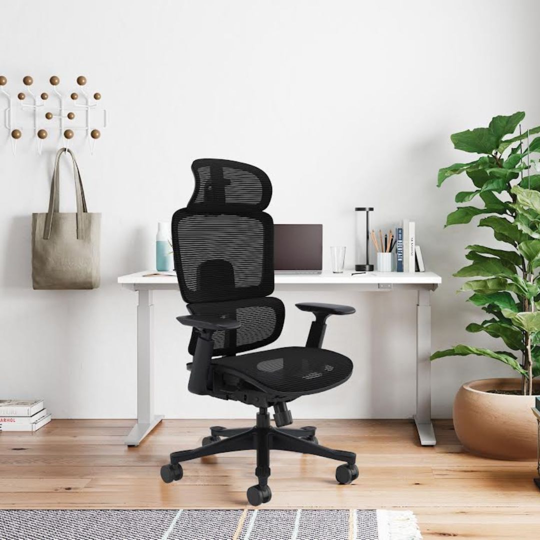 Silla Ergo Dream