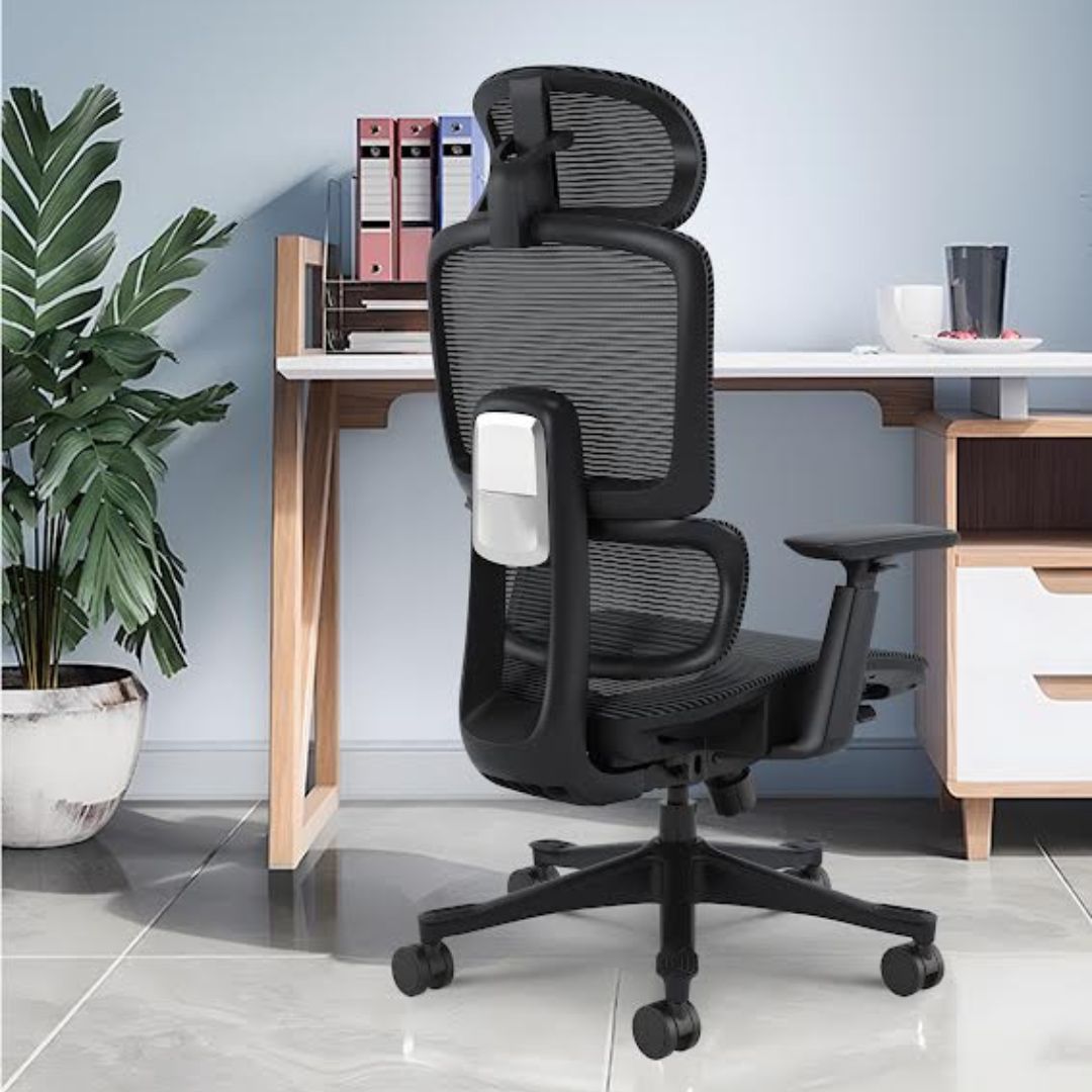 Silla Ergo Dream