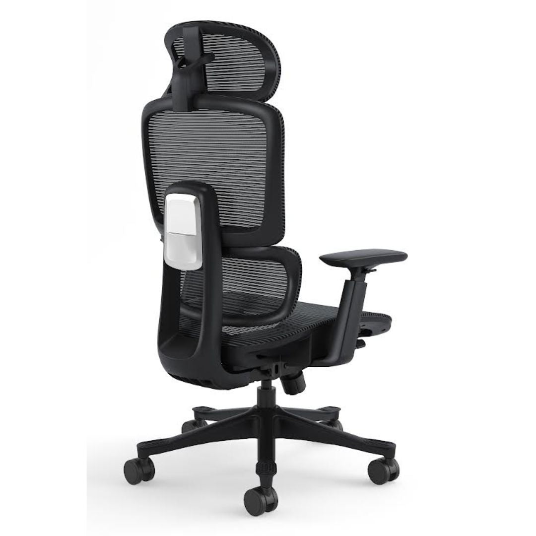 Silla Ergo Dream