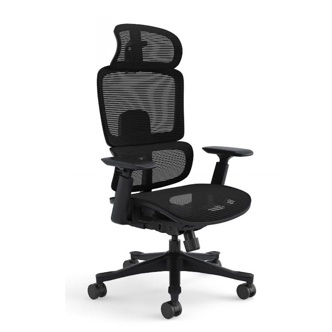 Silla Ergo Dream