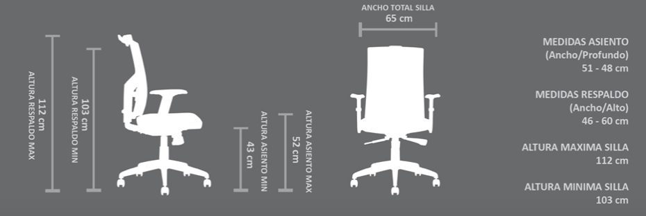 Silla Focus