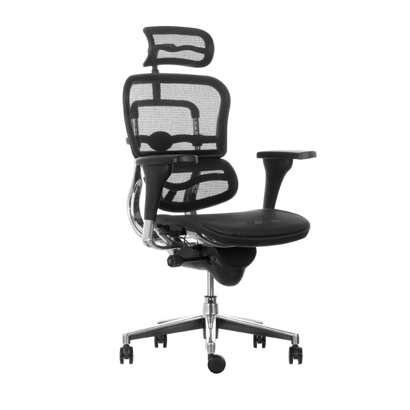 Silla Ergohuman Elite Malla