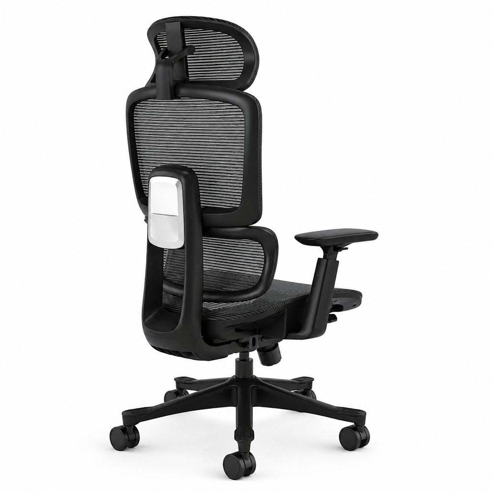 Silla ErgoDream premium full malla vista posterior