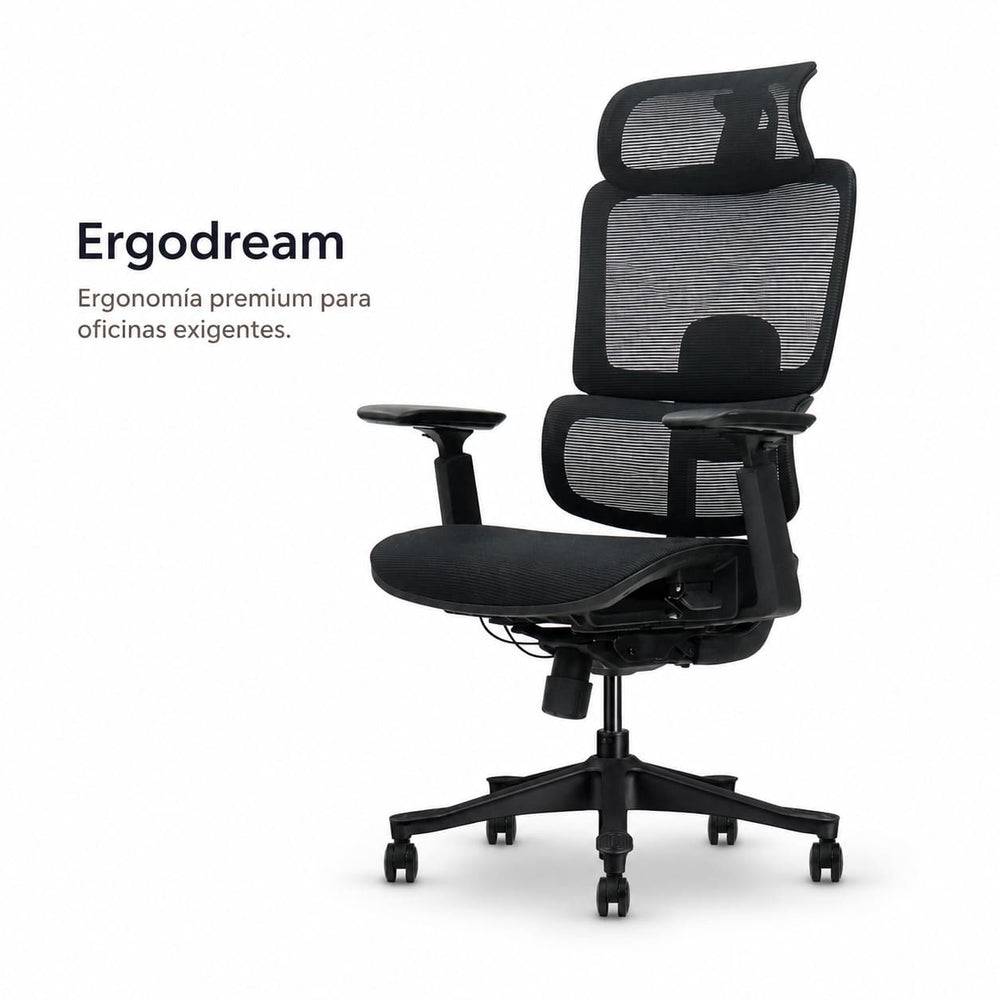 silla ergonomica ergodream premium