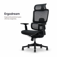 silla ergonomica ergodream premium