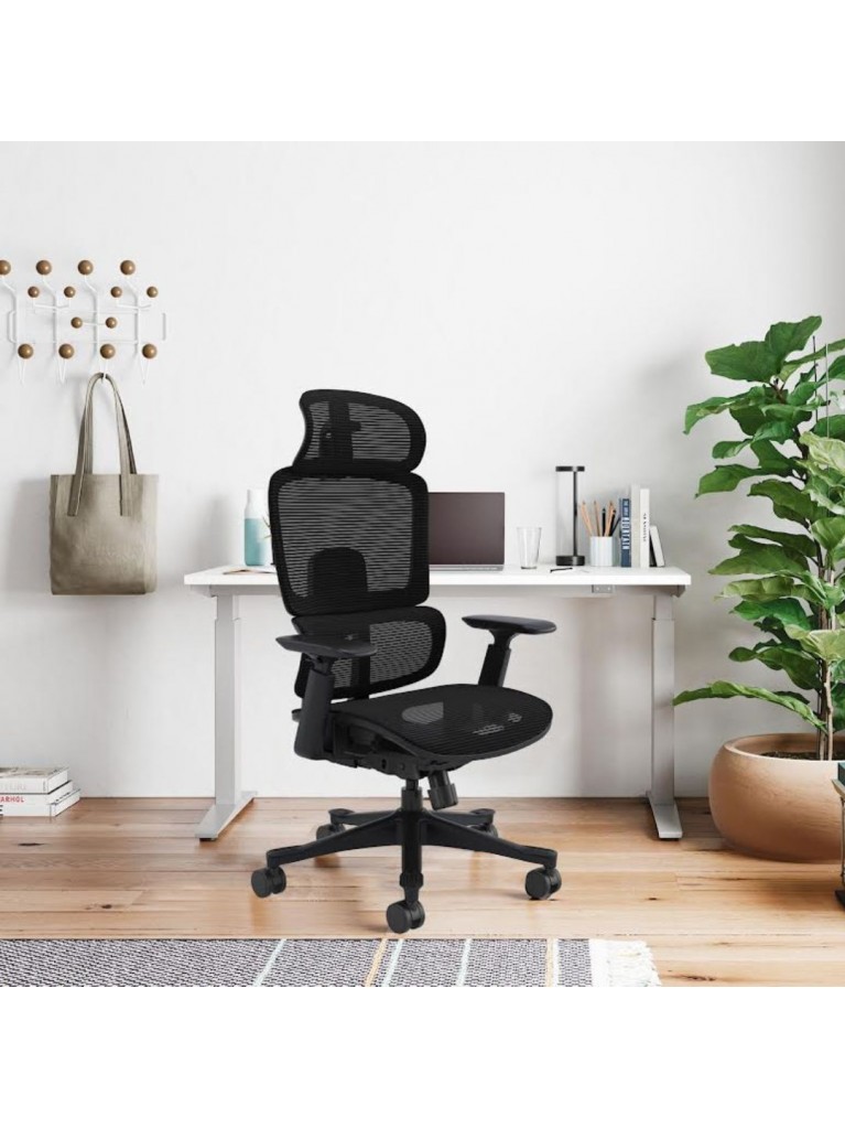 Silla Ergo Dream
