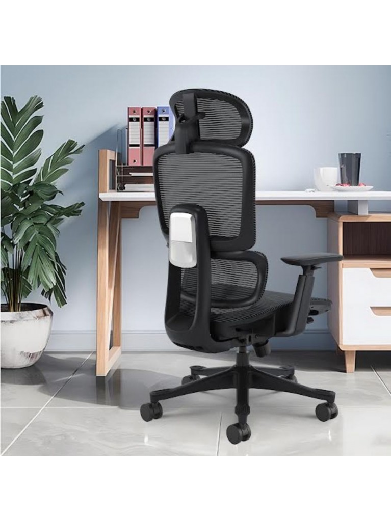 Silla Ergo Dream
