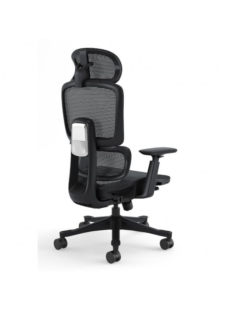 Silla Ergo Dream