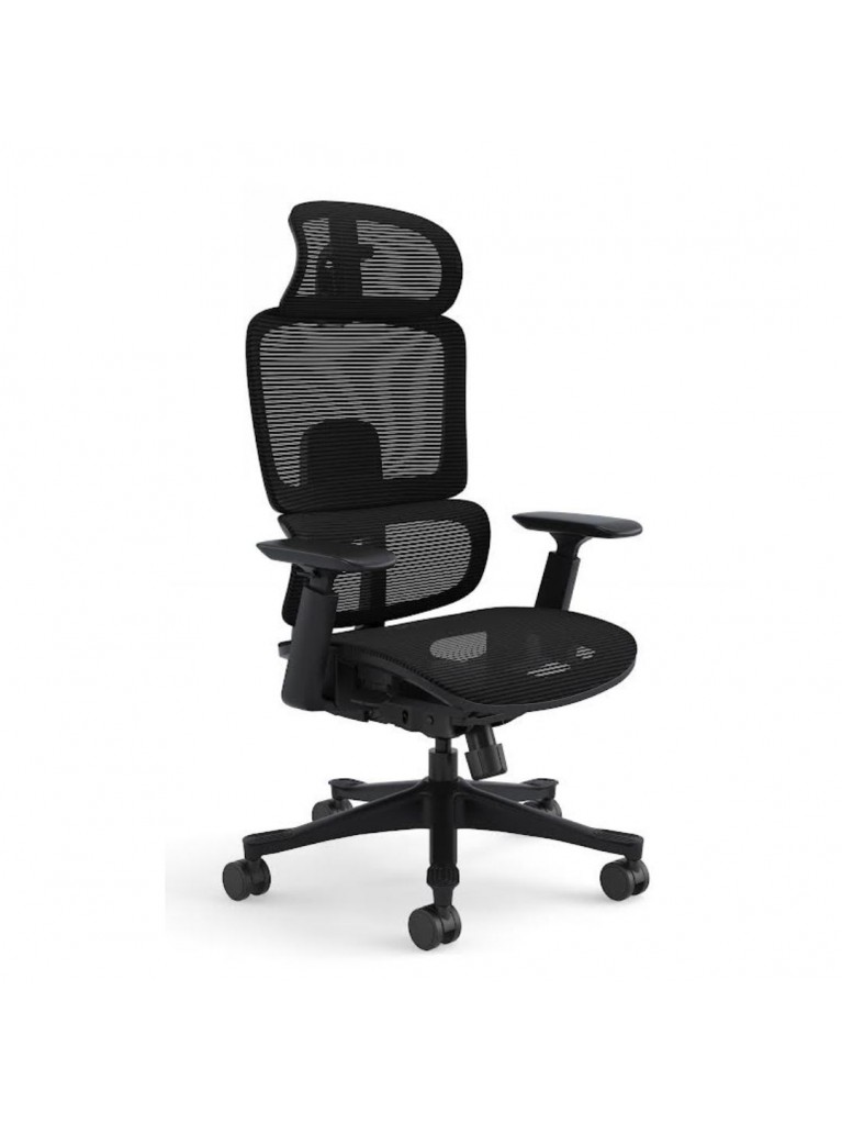 Silla Ergo Dream