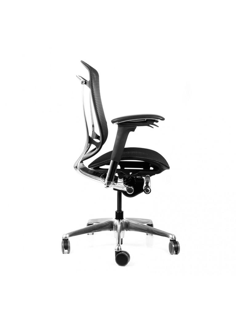 Silla Contessa Seconda 