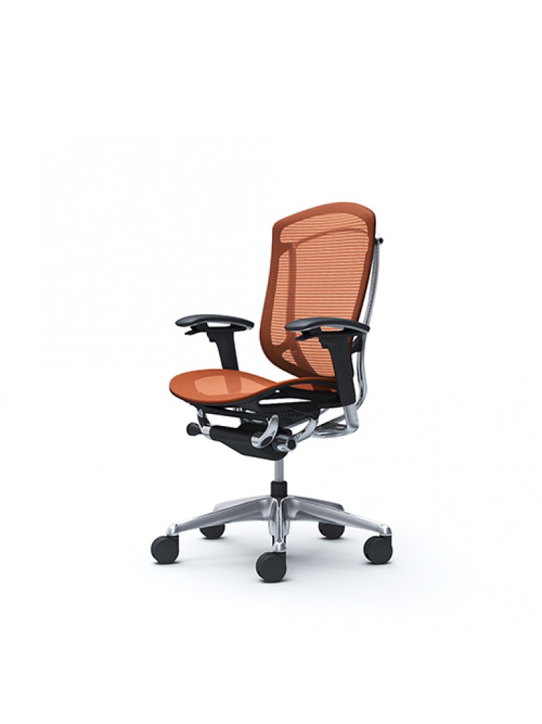 Silla Contessa Seconda 