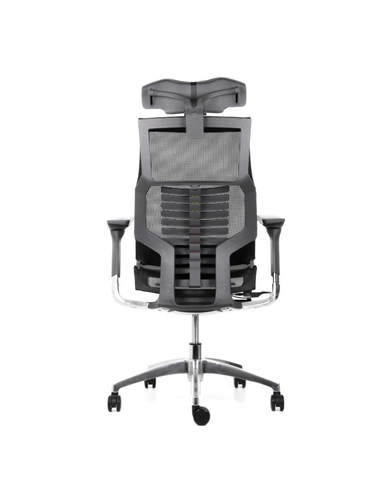 Silla Pofit