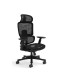 Silla Ergo Dream